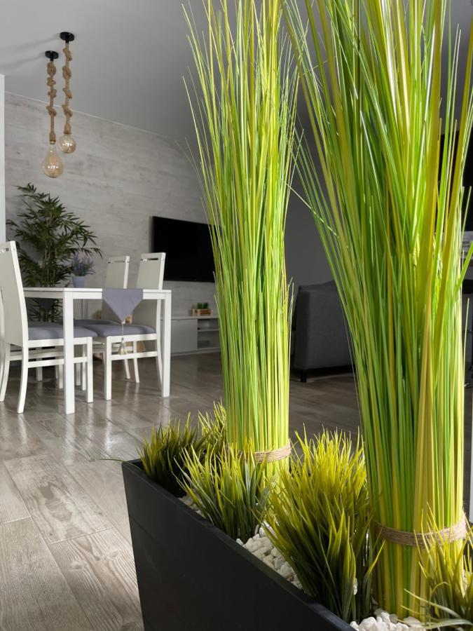 Apartamento Banferra Jerez de la Frontera Luaran gambar